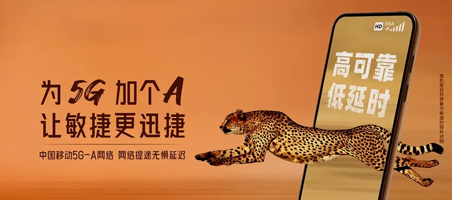竞秀区新市区南奇乡 移动宽带