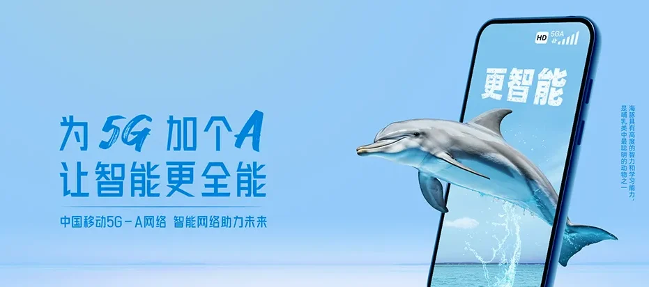 竞秀区新市区新市场街道 移动宽带